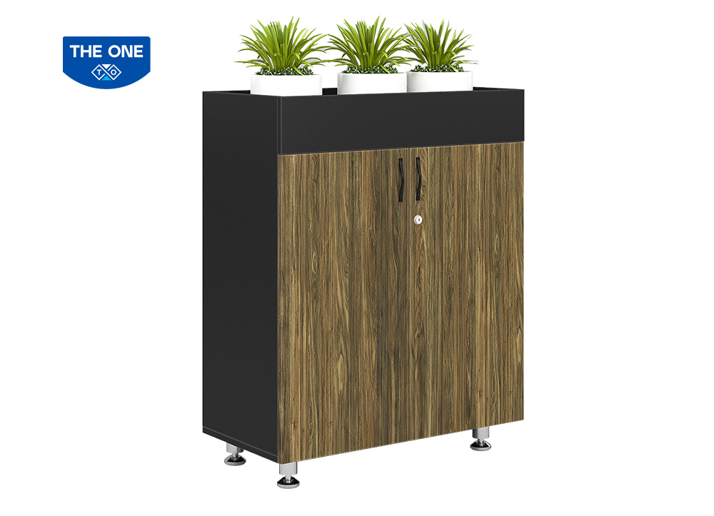 Tủ tài liệu thấp BRI1000-2T2