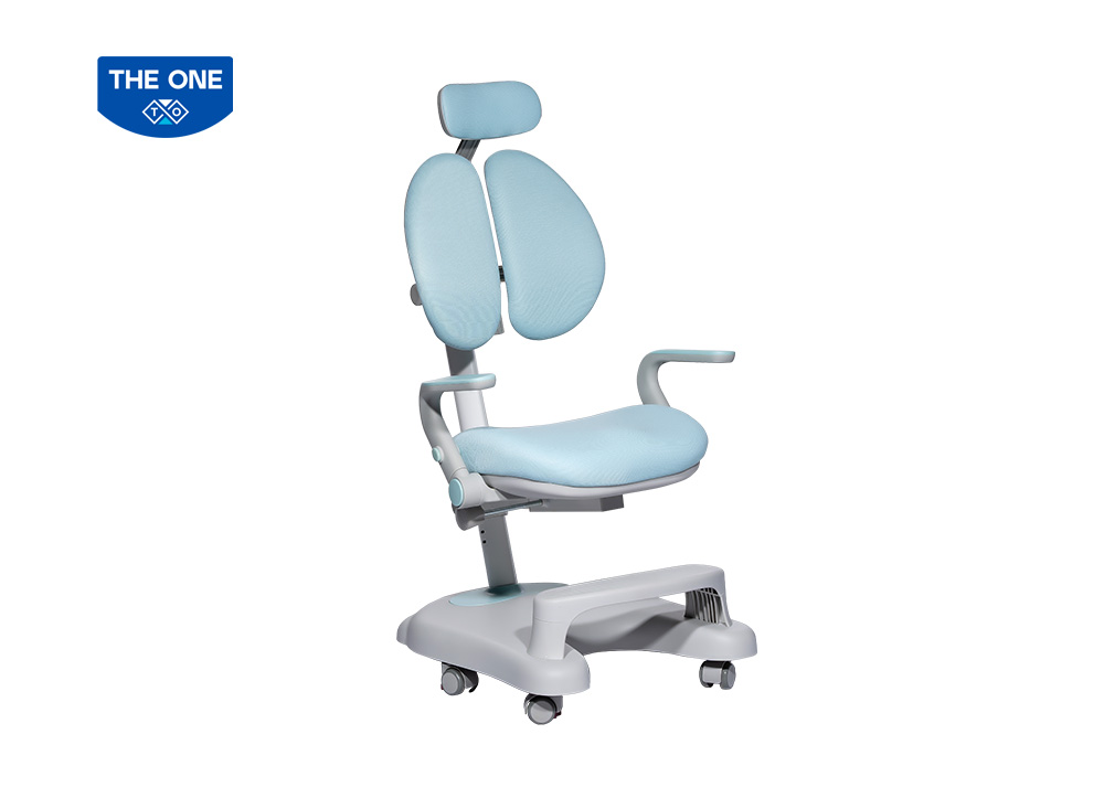 Ghế học sinh chống gù GHS51