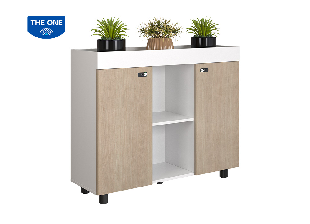 Tủ tài liệu Hòa Phát NTV1000-3T2